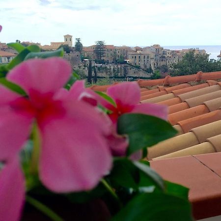 Villa Il Barone Tropea Exterior foto